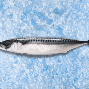 Atlantinė skumbrė - šaldyta žuvis, jūros gėrybės LESTENA